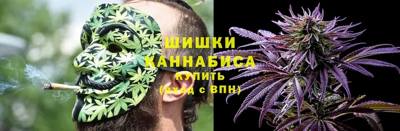 МЕГА   Данилов  Канабис OG Kush 